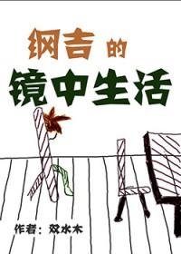 纲吉的镜中世界 纲吉的镜中世界