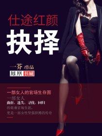 仕途红颜路
