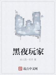 黑夜玩家精校版TXT 黑夜玩家精校版TXT