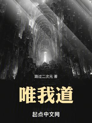 唯我道无防盗全文txt 唯我道无防盗全文txt