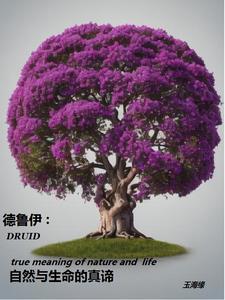 德鲁伊是什么 德鲁伊是什么