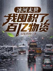 我囤积了百亿物资 记忆的海 我囤积了百亿物资 记忆的海
