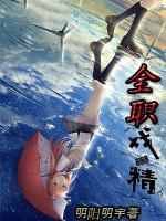 全职游戏 全职游戏