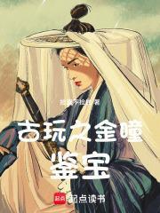 古玩之金瞳鉴宝TXT 古玩之金瞳鉴宝TXT