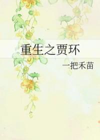 重生贾环庶子 重生贾环庶子