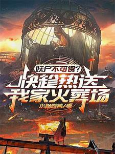 舰娘作战手册免费全文阅读 舰娘作战手册免费全文阅读